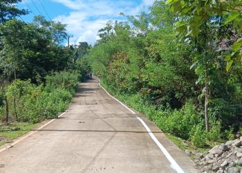 Tipikor Polres Dalami Penyelidikan Dugaan Penyimpangan Proyek Jalan Tala Tala Senilai Rp14,1 M