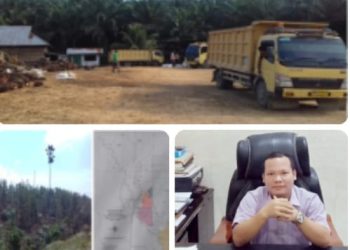 Satgas Inti Prabowo Kecam Perusahaan Perusak Hutan, Desak Negara Bertindak Tegas