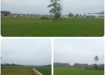 Pengembang Timbun Lahan Produktif di Maros, LSM Desak Supervisi Kementerian dan Penyelidikan APH