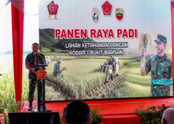 TNI Wujudkan Aksi Nyata, Dukung Ketahanan Pangan Nasional