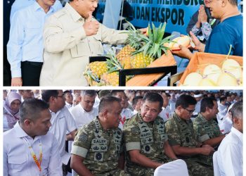 Kasad Hadiri Panen Raya di Cilebar Karawang, Presiden RI Umumkan Swasembada Pangan Nasional