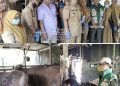 Pemkab Maros Intensifkan Pemeriksaan Hewan Kurban Jelang Idul Adha 1447 H