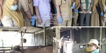 Pemkab Maros Intensifkan Pemeriksaan Hewan Kurban Jelang Idul Adha 1447 H