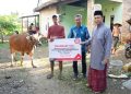 Momen Idul Adha, PT Semen Tonasa Salurkan Bantuan Hewan Kurban