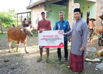 Momen Idul Adha, PT Semen Tonasa Salurkan Bantuan Hewan Kurban