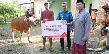 Momen Idul Adha, PT Semen Tonasa Salurkan Bantuan Hewan Kurban