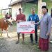 Momen Idul Adha, PT Semen Tonasa Salurkan Bantuan Hewan Kurban